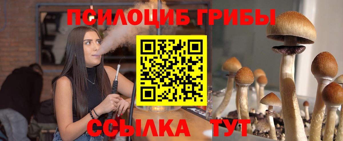 Галлюциногенные грибы Magic Shrooms Отрадное
