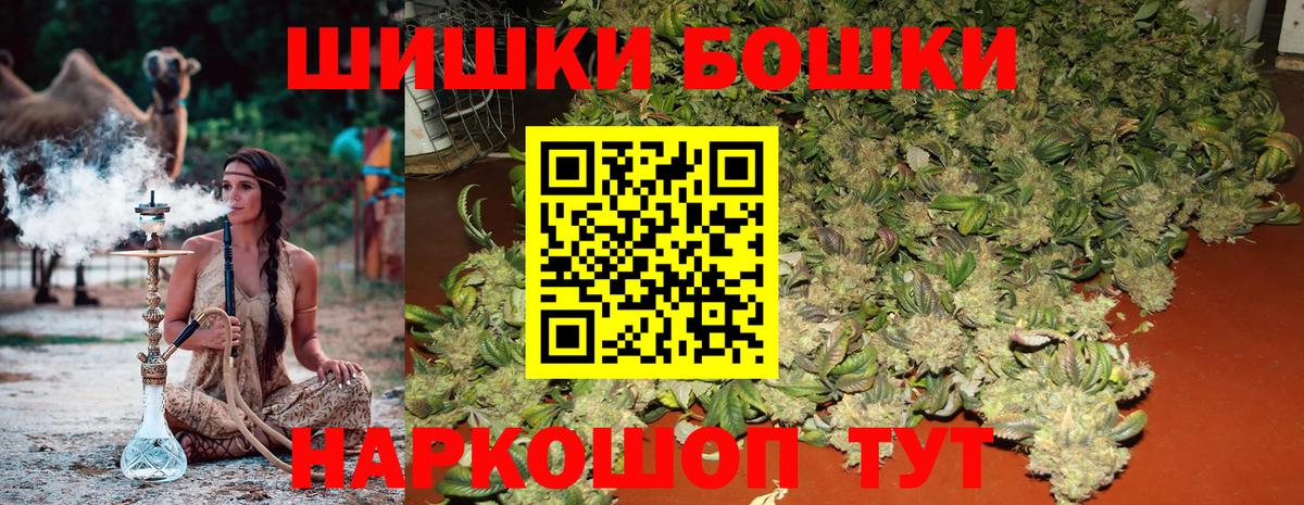 Канабис план  Канабис ГИДРОПОН  Вход с VPN  Конопля гибрид  Отрадное  Марихуана OG Kush 